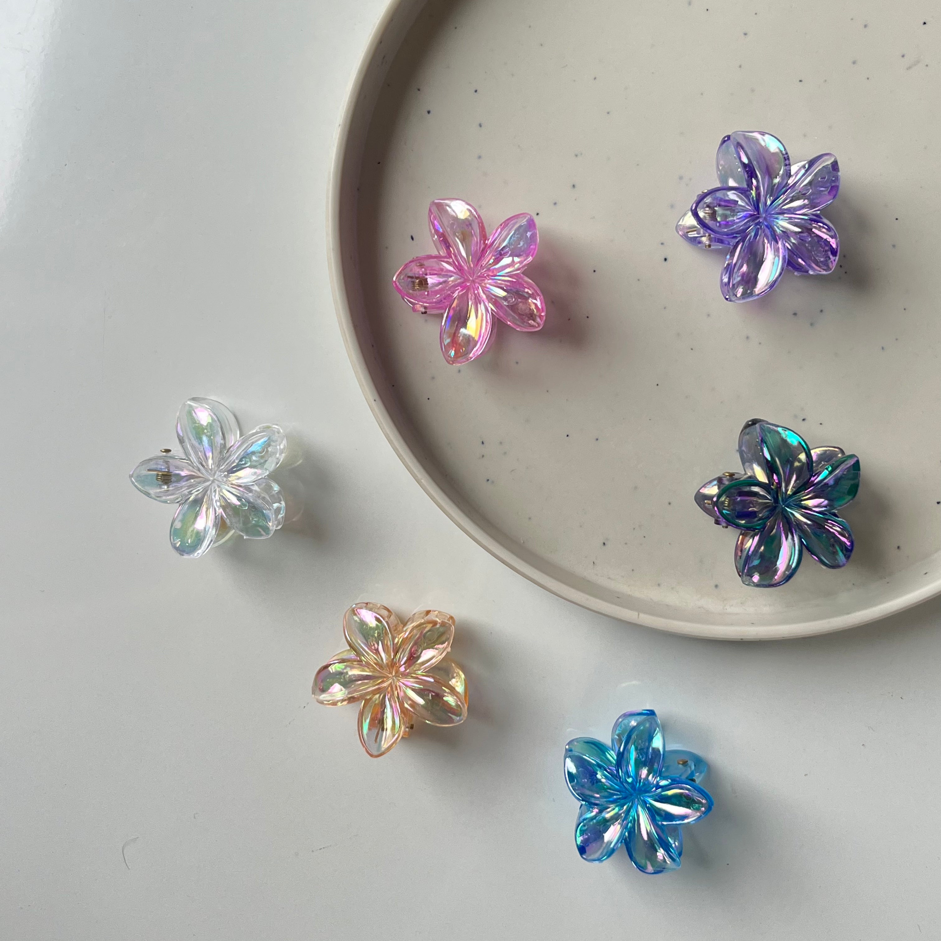 Iridesca Bloom Claw Clip – Small (Vault Set of 6)